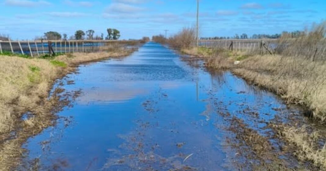 Juez Pablo Cristián Germain, fallo tasa vial Daireaux